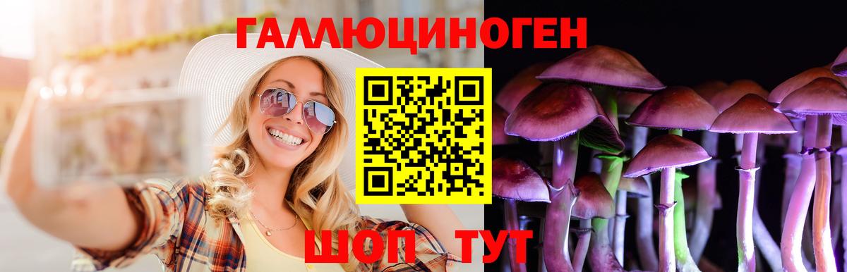 Псилоцибиновые грибы прущие грибы  купить наркотик  Нижний Тагил  Вход с VPN 